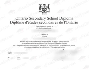 Buying a fake OSSD diploma