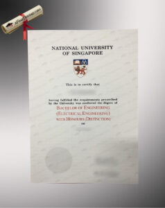 Buy NUS fake diploma online