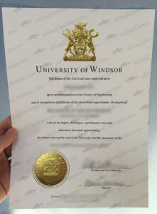 University of Windsor fake diploma