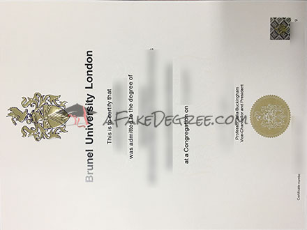 Brunel University of London Graduate Certificate