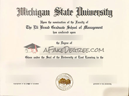 Michigan State Graduate Certificate