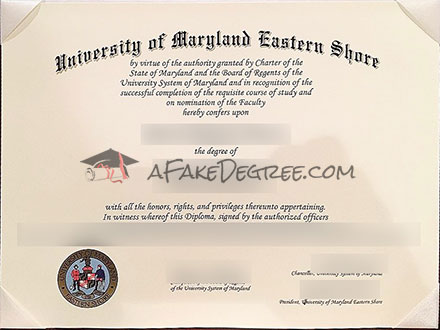 UMES Graduate Certificate