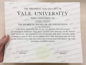 Yale University fake diploma
