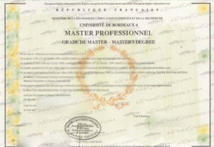 Bordeaux IV fake diploma