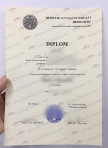 Heidelberg University fake diploma