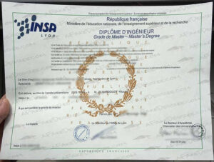 INSA Lyon fake diploma