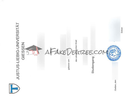 JLU Graduate Certificate
