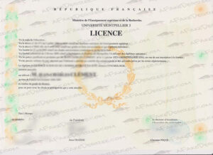 UPVM3 fake diploma