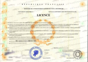 Université Grenoble Alpes fake diploma
