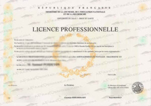 Université Lille-II fake diploma