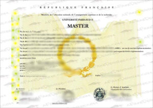 Université Paris-Sud fake diploma