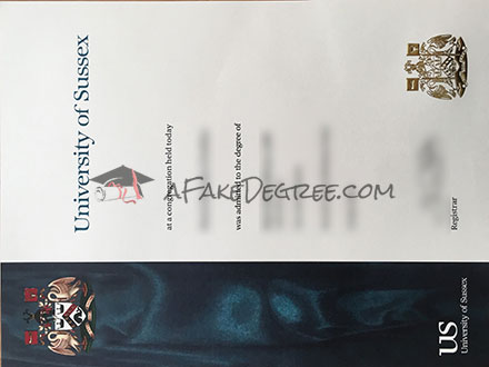 University of Sussex Graduate Certificate