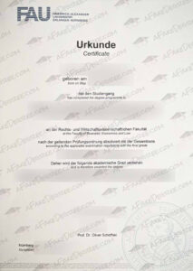 FAU fake diploma