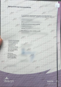 Fontys University of Applied Science fake diploma