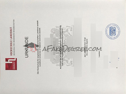 Hochschule Landshut Graduate Certificate