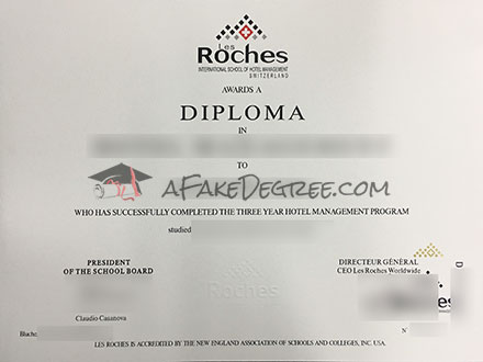 Les Roches Certificate