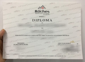 buy a Les Roches fake diploma Les Roches fake diploma