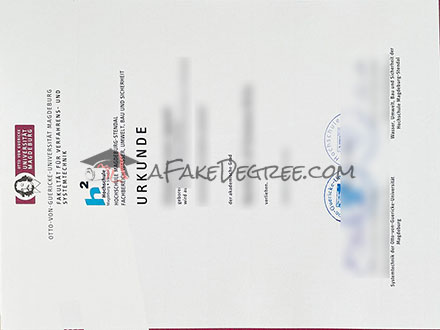Universität Magdeburg Certificate