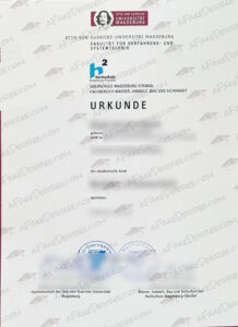 OvGU fake diploma