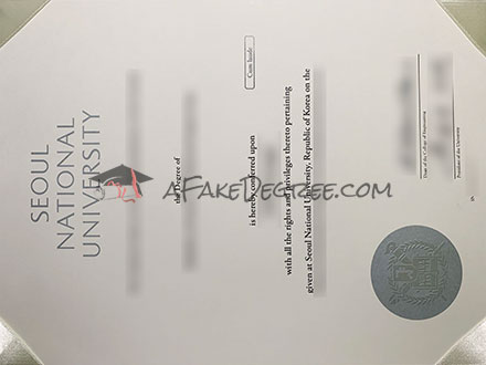 Seoul National University degree Certificate