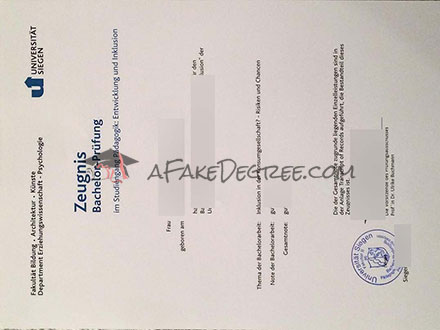 Universität Siegen Certificate