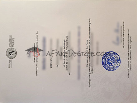 Fake University of Marburg transcript