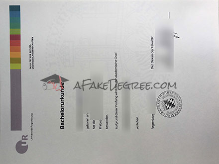University of Regensburg Certificate