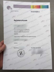 University of Regensburg fake diploma