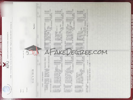 Fake KPU transcript