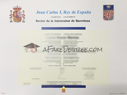 Universitat de Barcelona degree Certificate