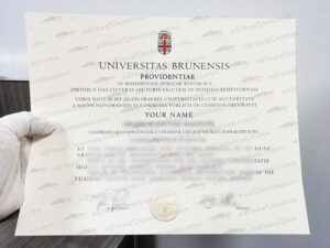 Brown fake diploma