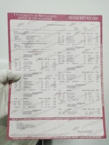 fake UMN transcript
