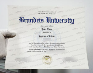 Fake Brandeis University degree certificate