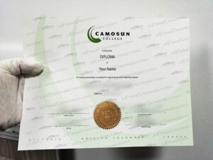 Fake Camosun College diploma