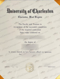 Fake Charleston diploma certificate