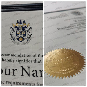 Laurentian University diploma