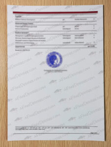 Buy fake TU Darmstadt transcript Fake TU Darmstadt transcript