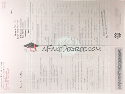 University of South Carolina transcript