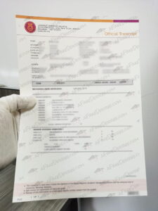 UTM transcript