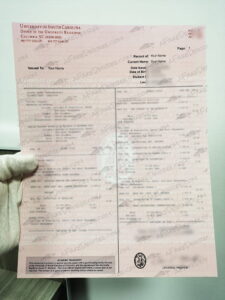 University of South Carolina transcript