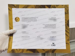 MCAD Diploma
