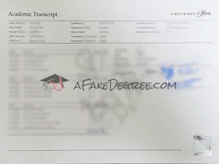 University of York transcript