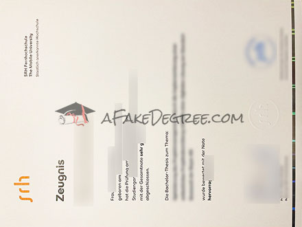 SRH Hochschule Heidelberg diploma