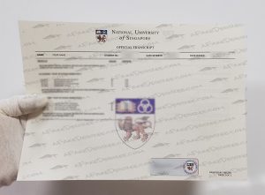 National University of Singapore diploma