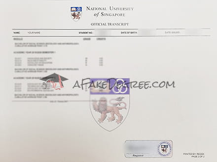 National University of Singapore transcript